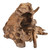 Random Teak Forest Specimens Planters Bases Close Up Image